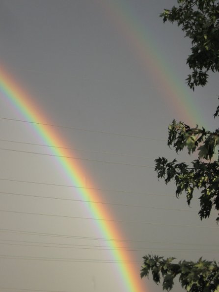 20060930-rainbow03